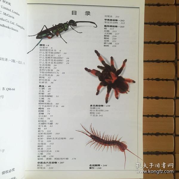 昆虫:全世界550多种昆虫,蜘蛛和陆生节肢动物的彩色图鉴