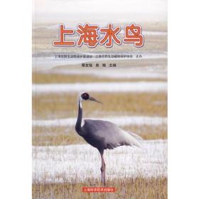 【正版新书】上海水鸟