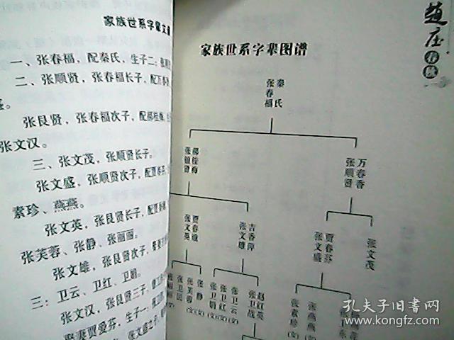 (山西省翼城县)《赵庄春秋》(村史家谱,附:贾氏,杨氏,张氏,王氏,刘氏