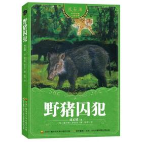 沈石溪中外动物小说世界：野猪囚犯