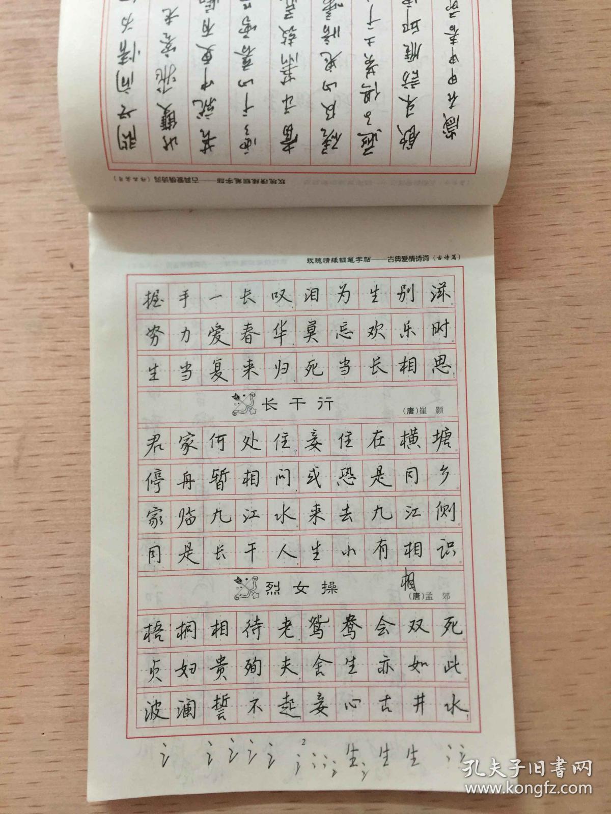 玫瑰情缘钢笔字帖—古典爱情诗词(行书) 王正良书写
