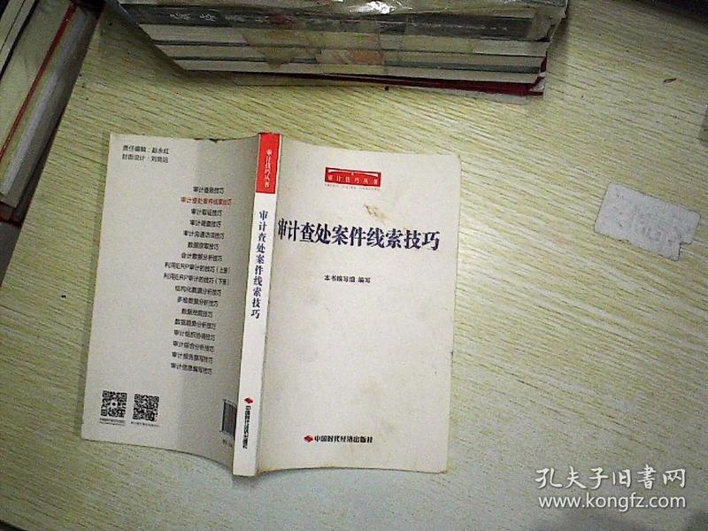审计查处案件线索技巧/审计技巧丛书