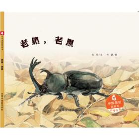中国原创图画书：老黑，老黑