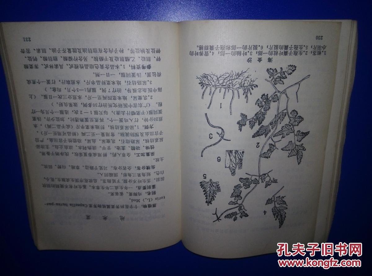 中草药资料 【1】《书内介绍151种贵州地区中草药》32