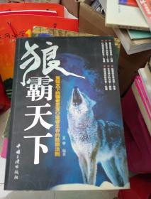 狼霸天下
