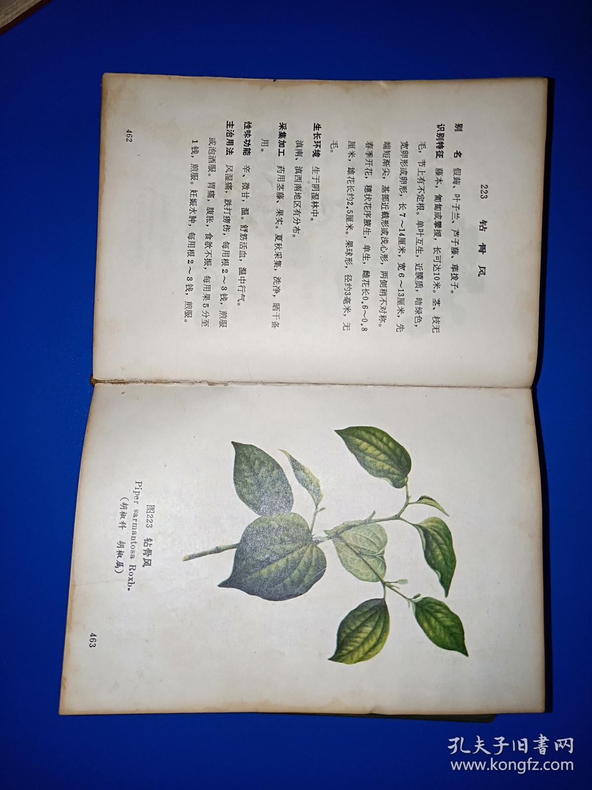 云南中草药选