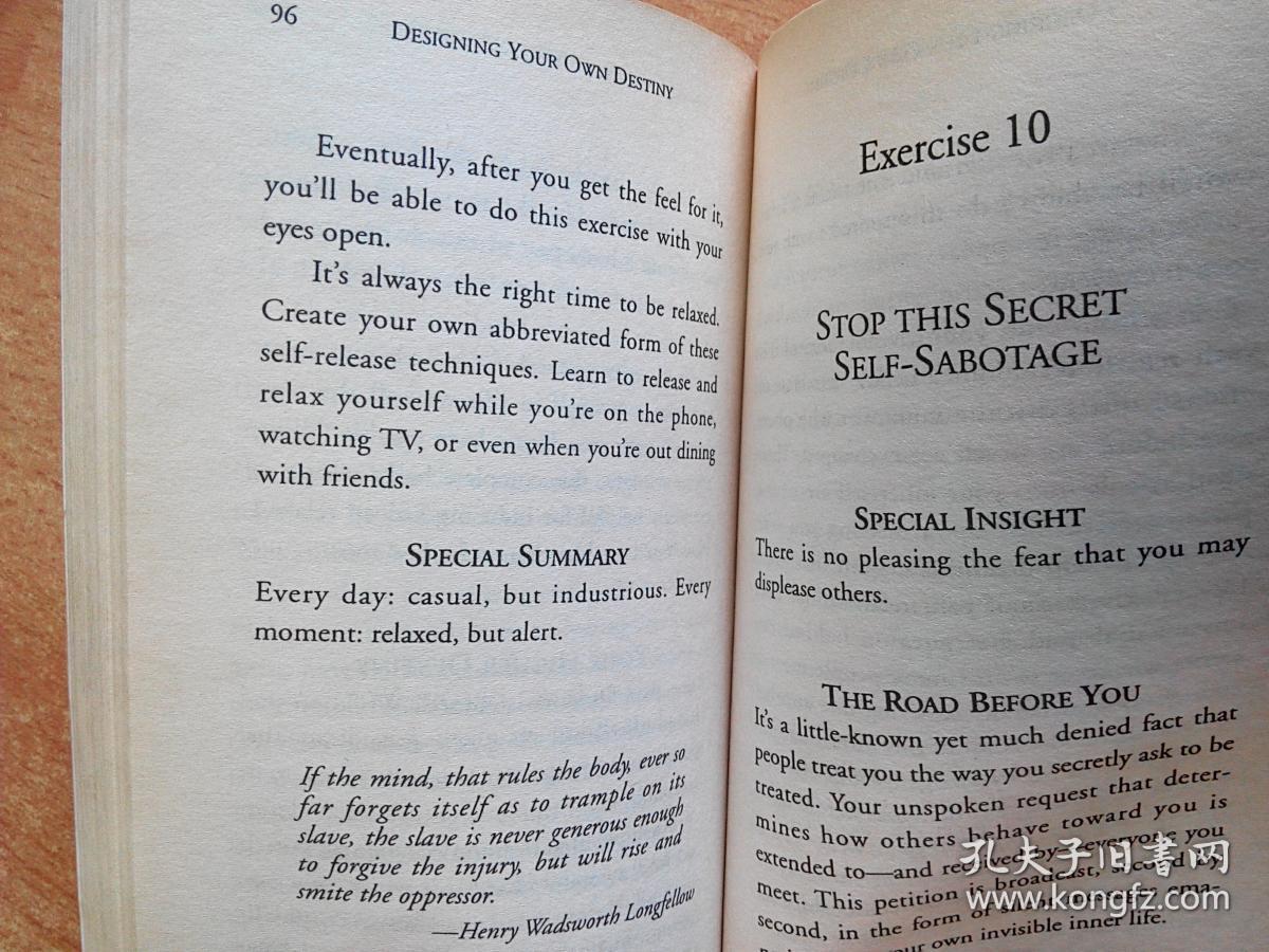英文原版书:designing your own destiny: the power