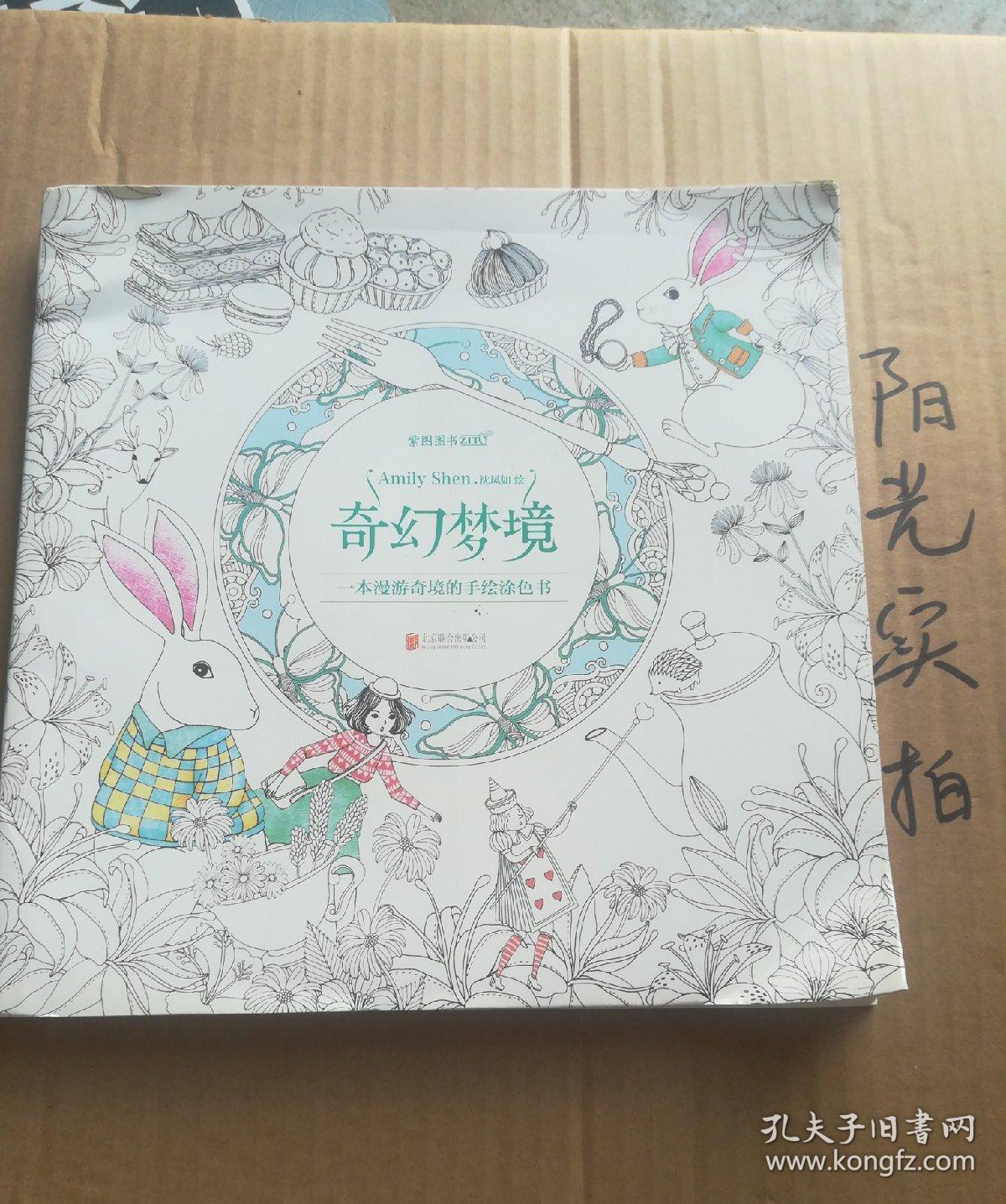 奇幻梦境:一本漫游奇境的手绘涂色书