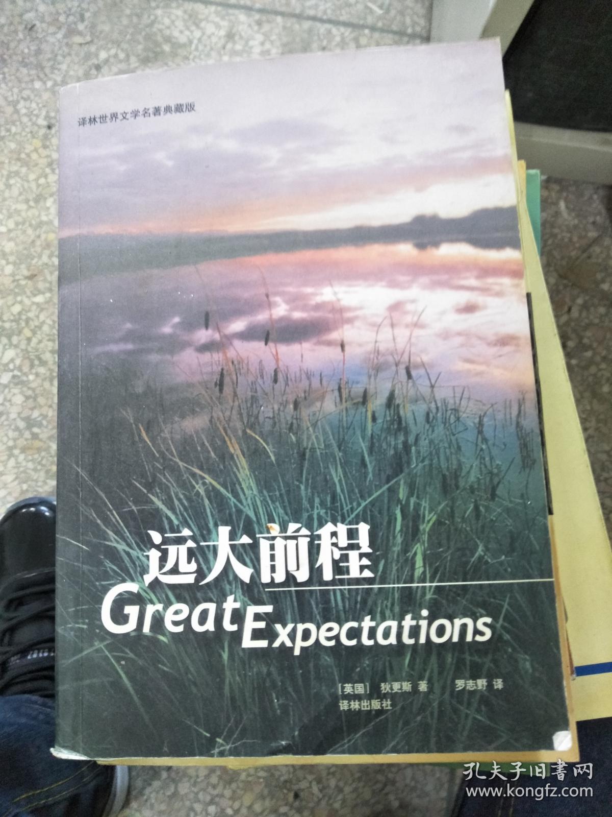 (正版图书)远大前程9787805675060