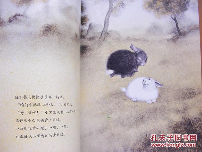 全新3-6岁亲子阅读图画绘本书籍 黑兔和白兔 儿童早教启蒙童书