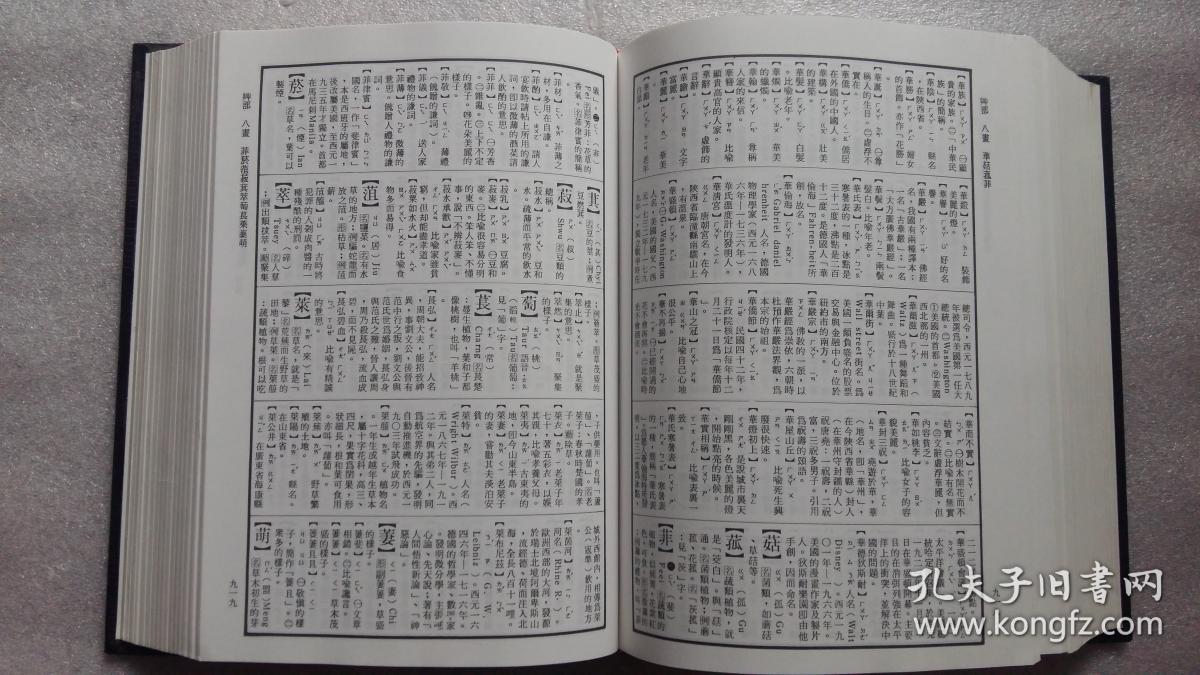 辞海(钟文版)