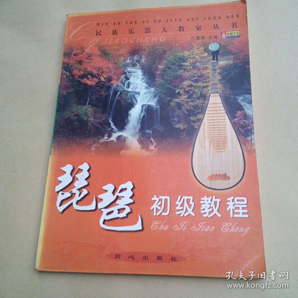民族乐器大教室丛书:琵琶初级教程