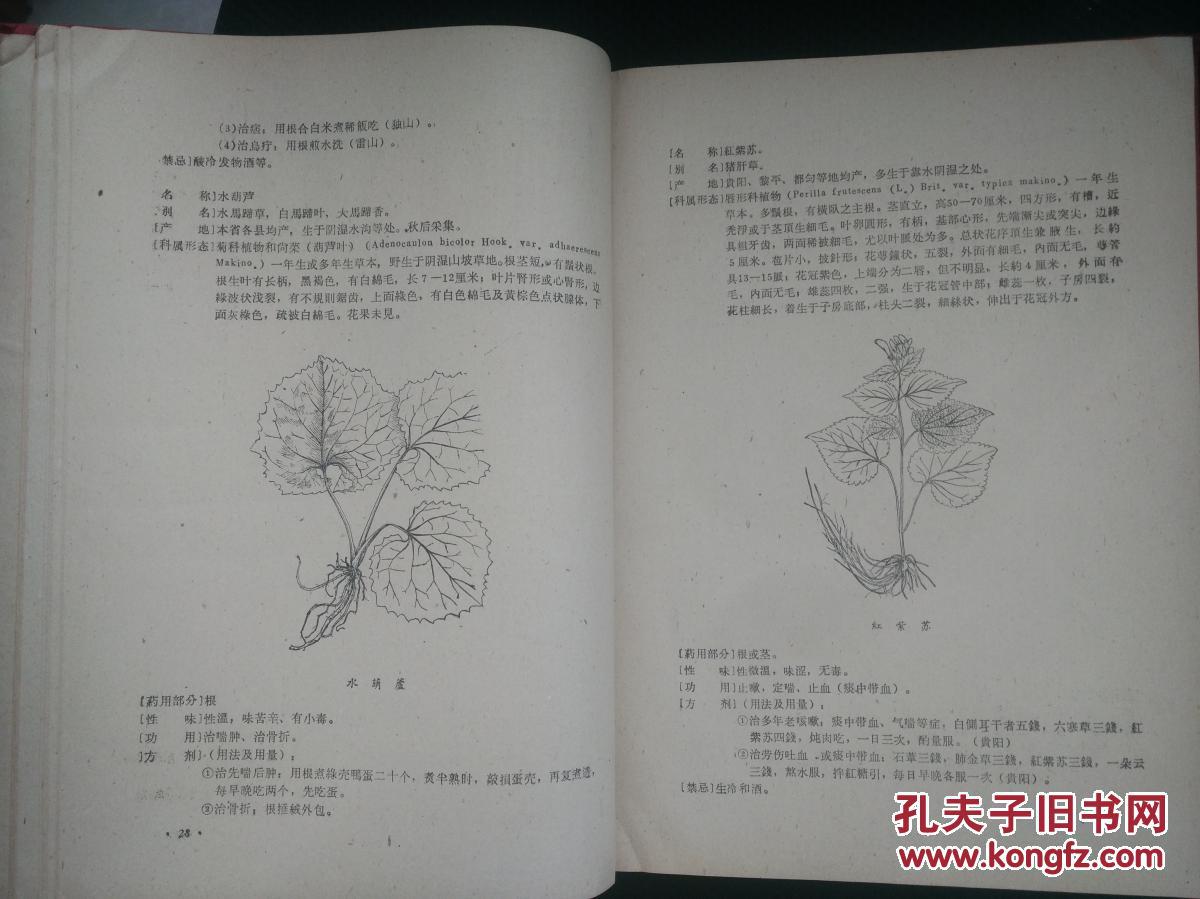 贵州民间药物第一集(收贵州民间植物药200种和贵州民间验方500余种,均