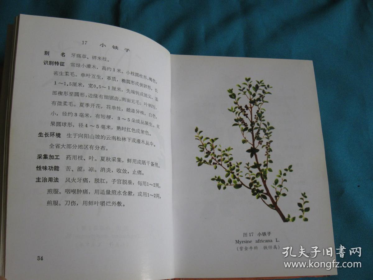 云南中草药彩图精选(珍藏,上下册全,扉页有笔迹)