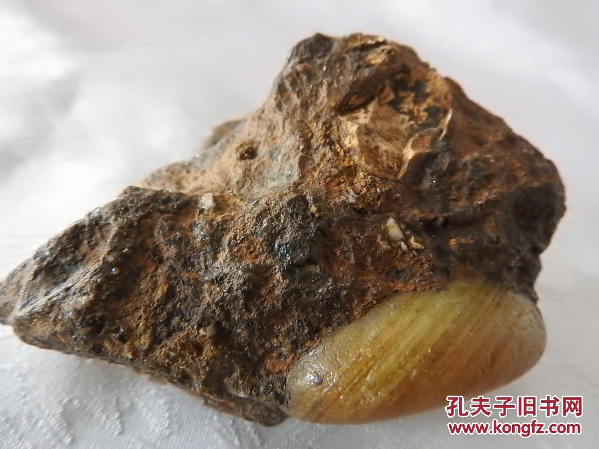 开创了玛瑙陨石新理论!