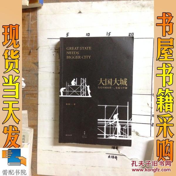 大国大城_陆铭 著 大国大城