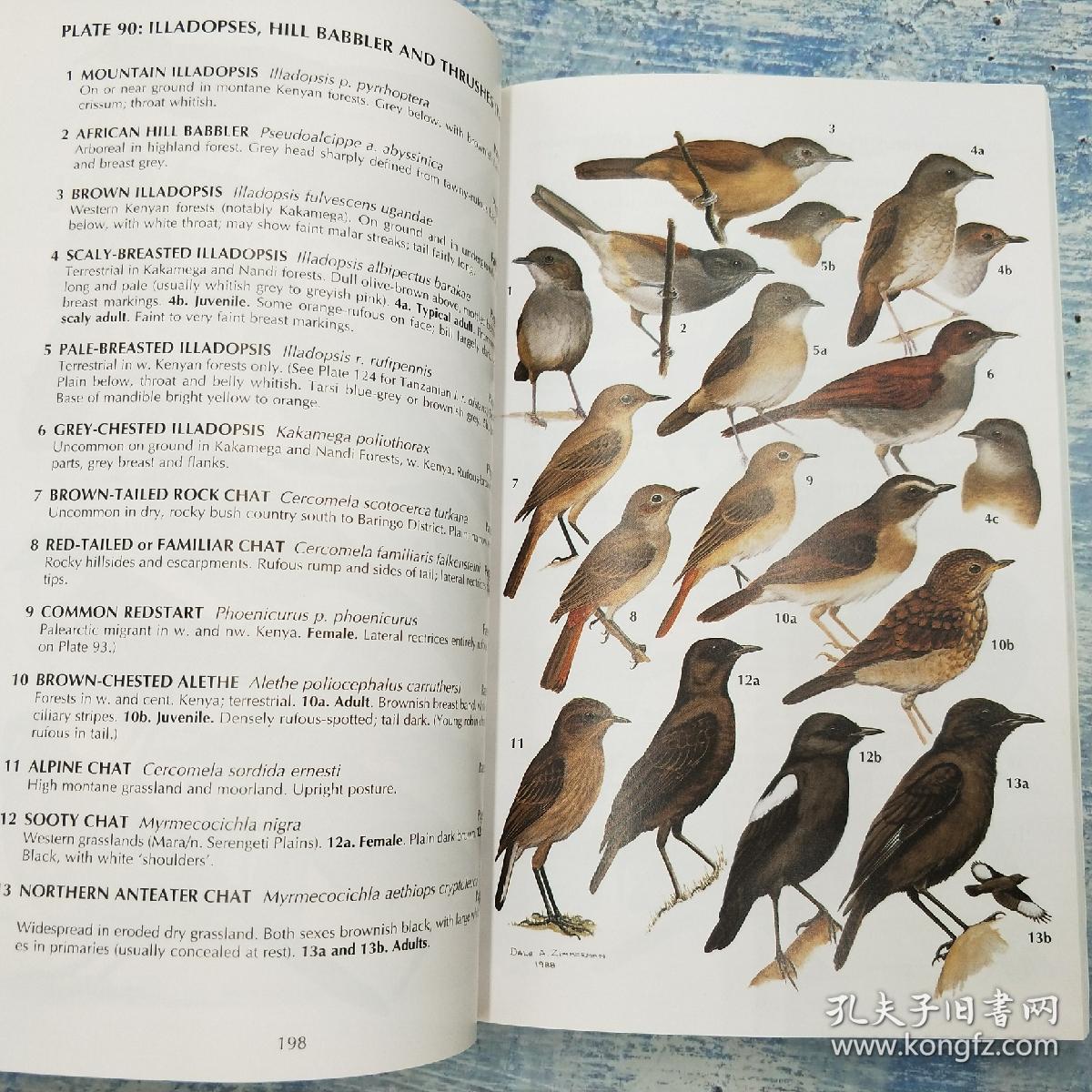 birds of kenya and northern tanzania (helm field