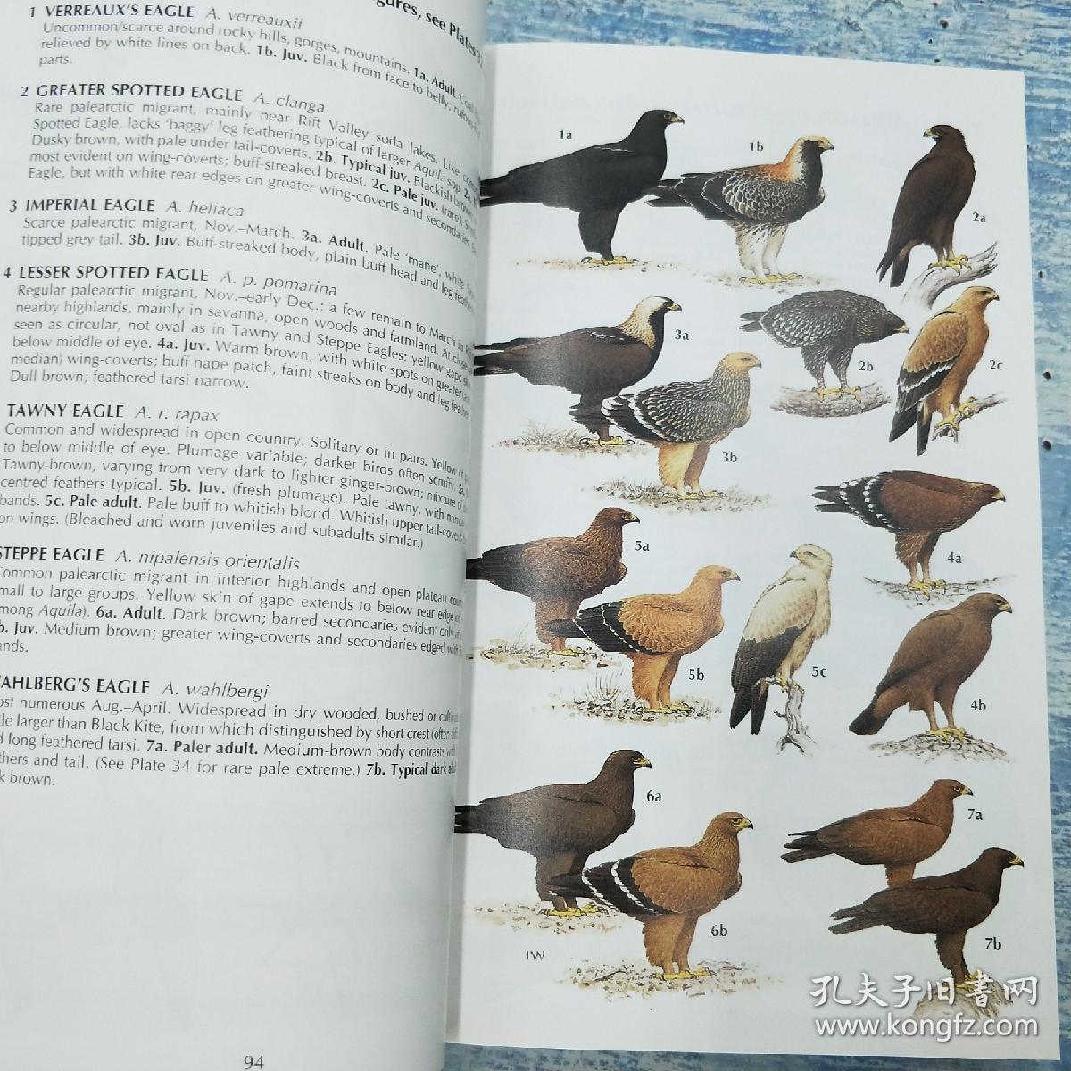 birds of kenya and northern tanzania (helm field