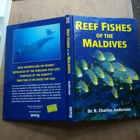 REEF FISHES OF THE MALDIVES