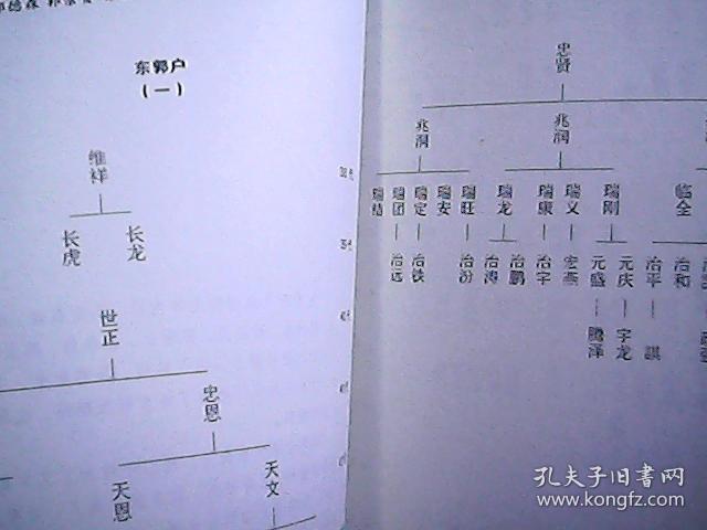 山西孝义临水独贤里正七甲郭氏族谱郭子仪后裔