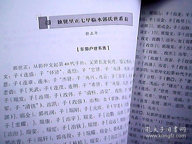 山西孝义临水独贤里正七甲郭氏族谱郭子仪后裔