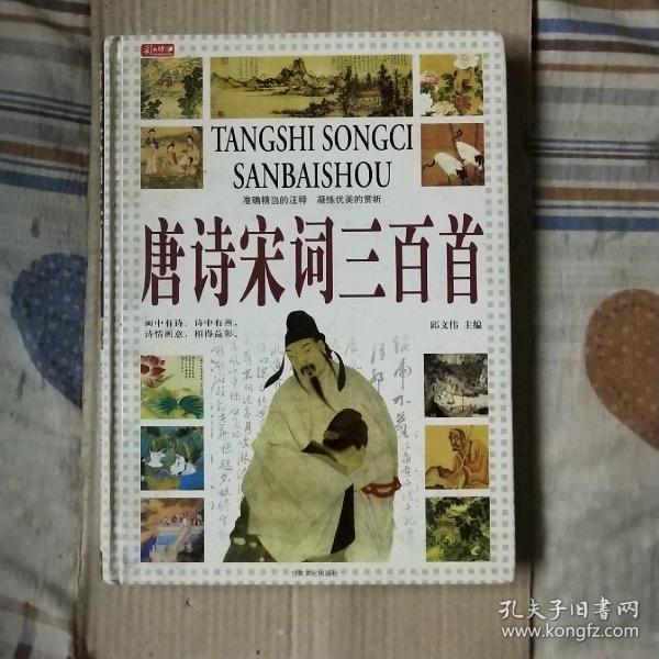 唐诗宋词三百首