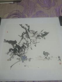 姜福堂将军精品国画－老藤小鸡趣味图
