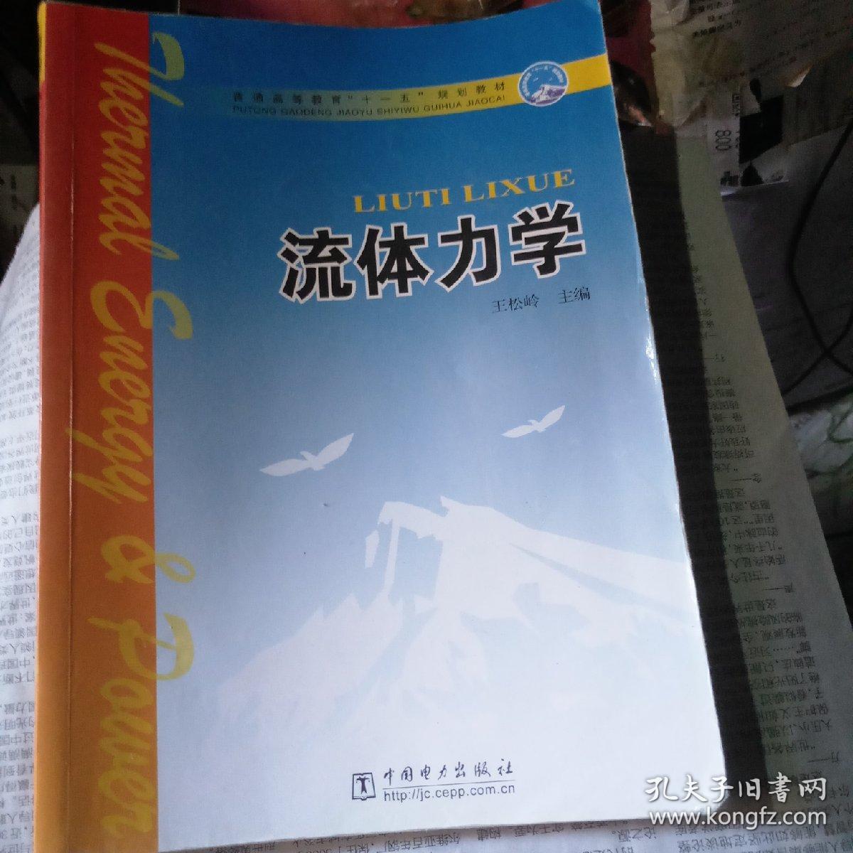 普通高等教育"十一五"规划教材:流体力学