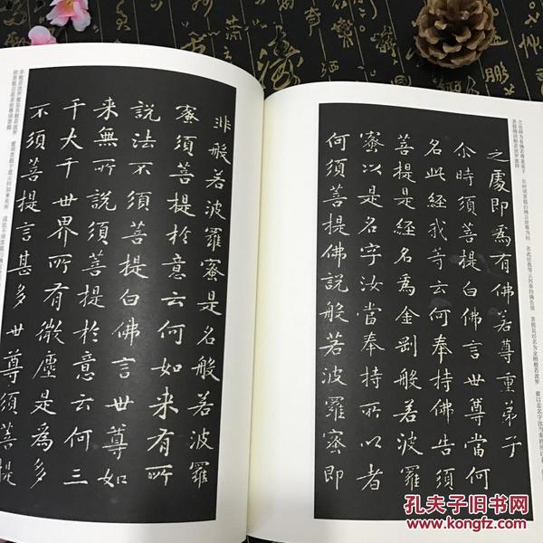 金刚般若波罗蜜经 简体旁注 历代名家小楷系列 楷书毛笔书法字帖 小楷