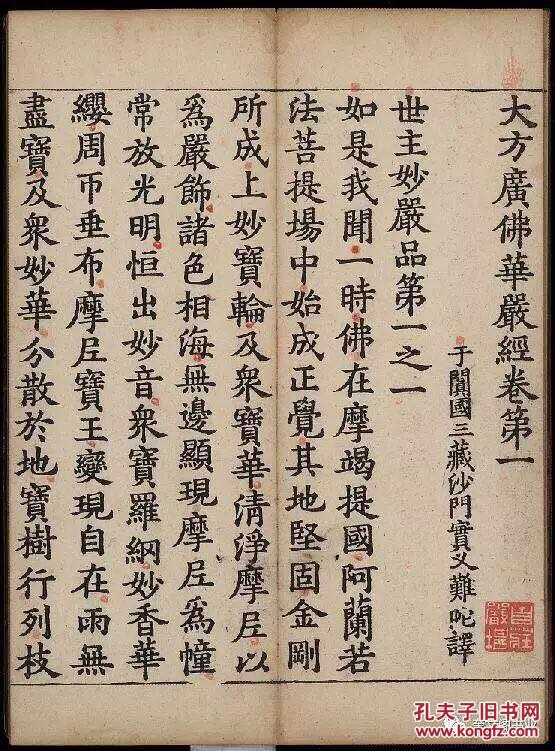《大方广佛华严经》这部经名字的开示