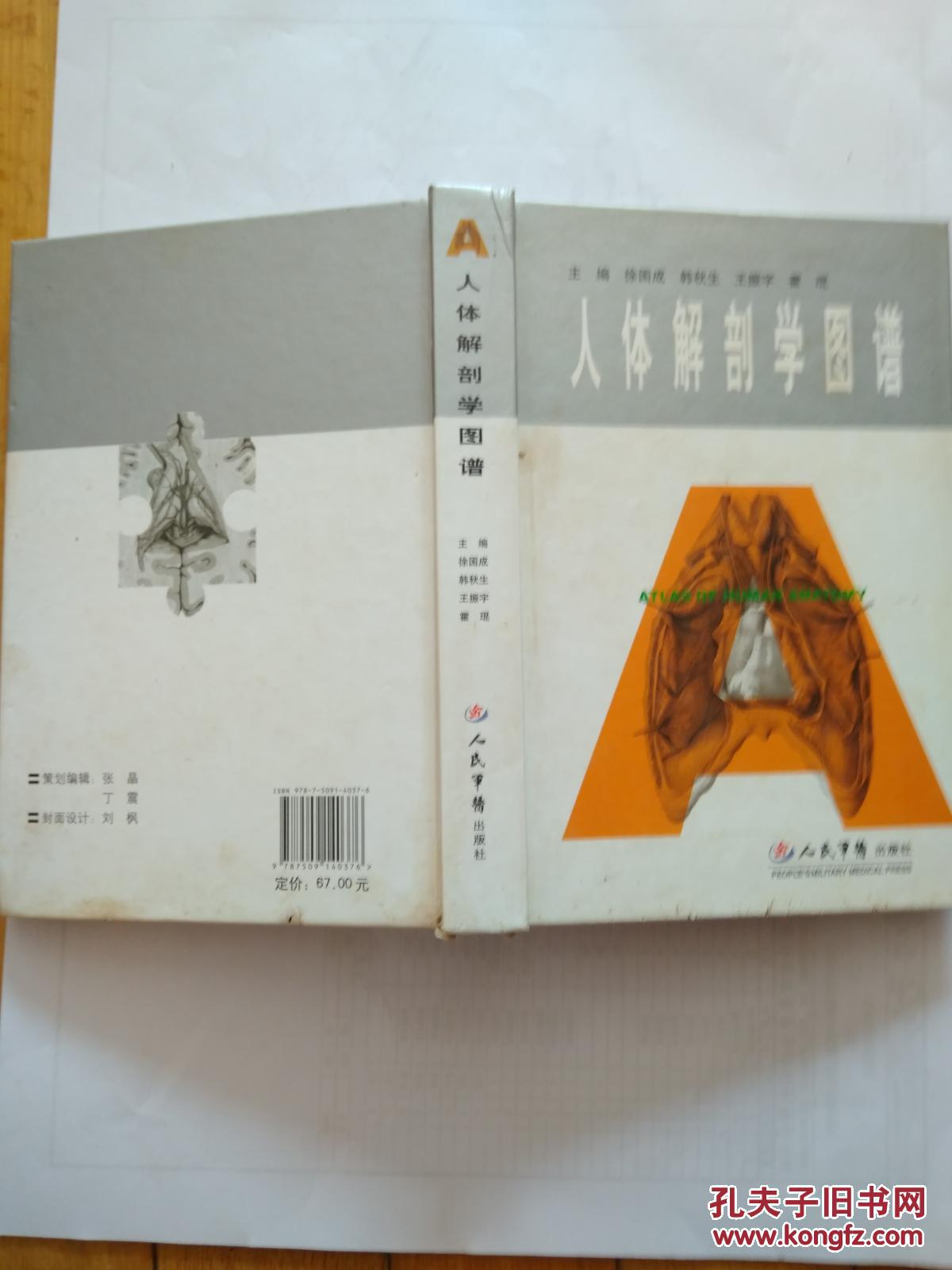人体解剖学图谱