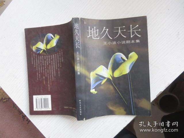 地久天长 王小波小说剧本集