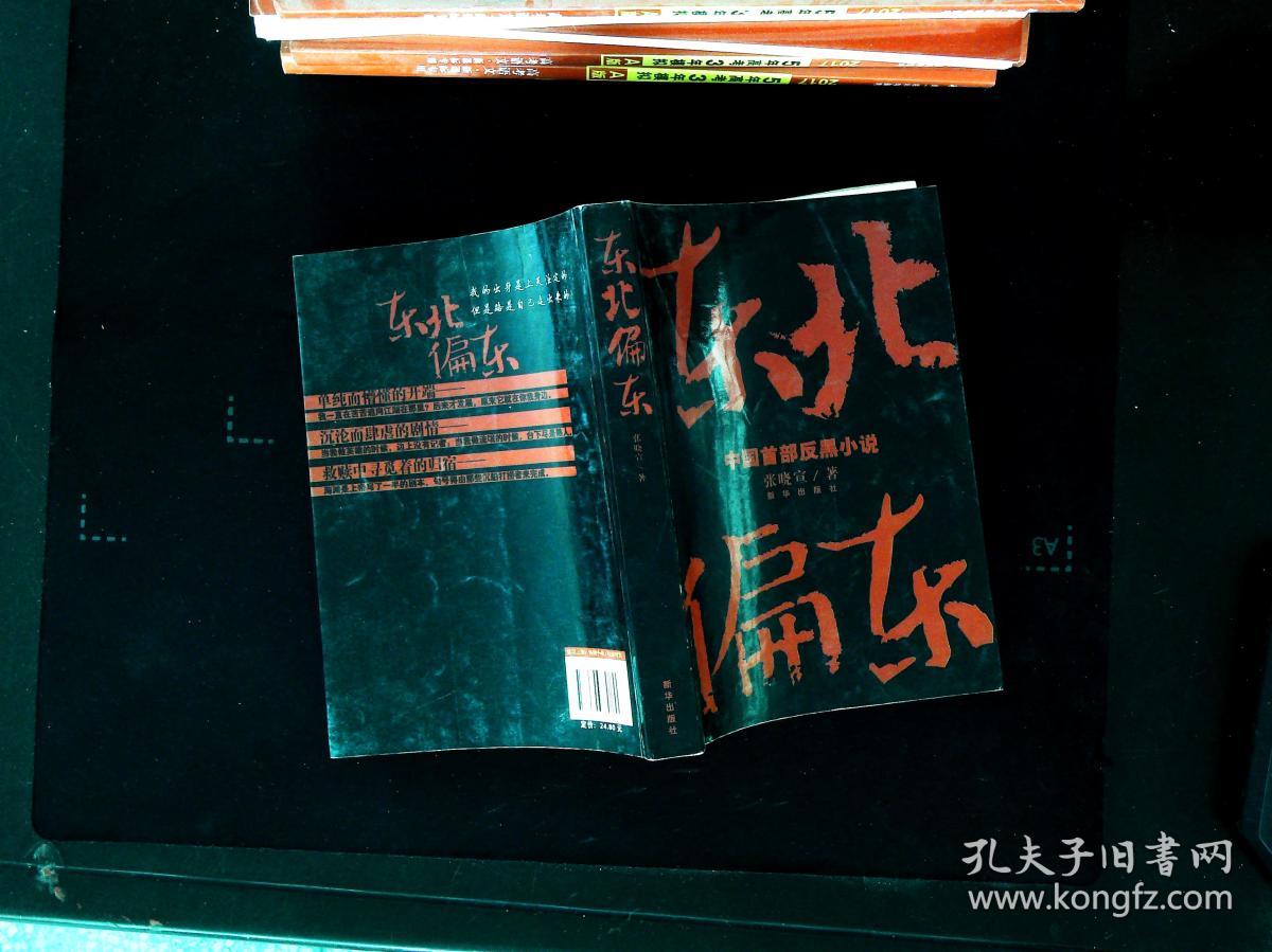 东北偏东 中国首部反黑小说