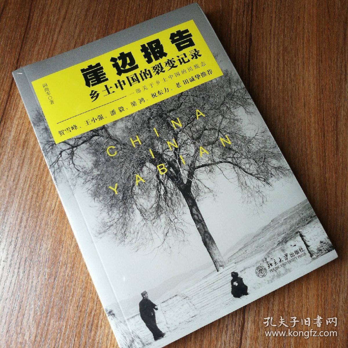 崖边报告:乡土中国的裂变记录