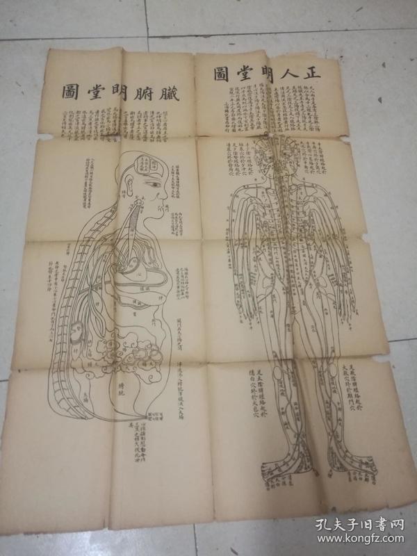 正人明堂图,脏胕明堂图