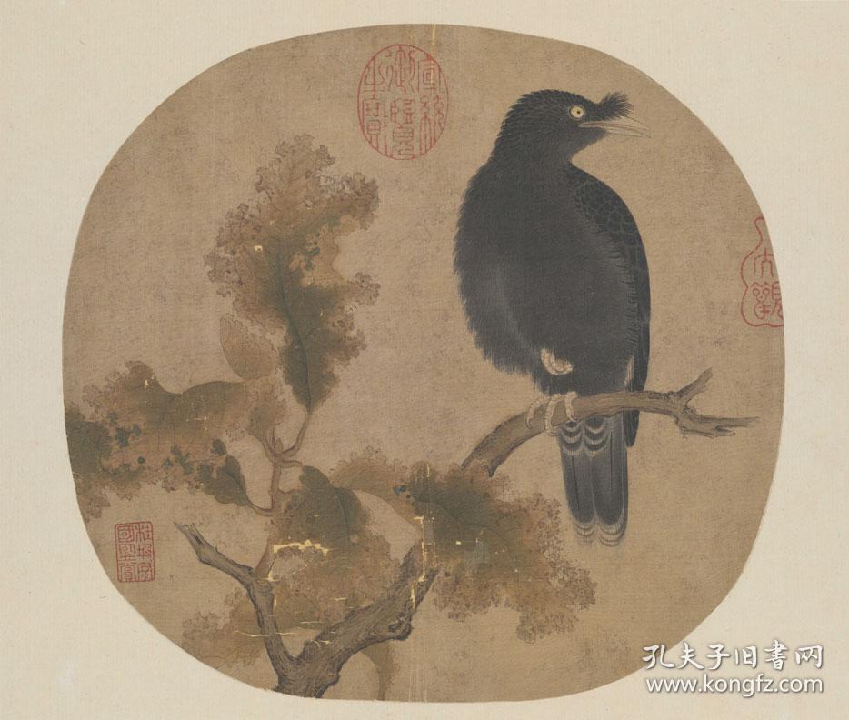 宋 佚名 出水芙蓉图