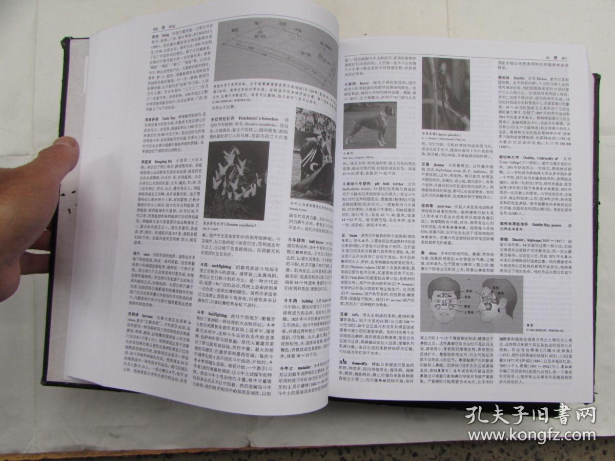 不列颠简明百科全书上下