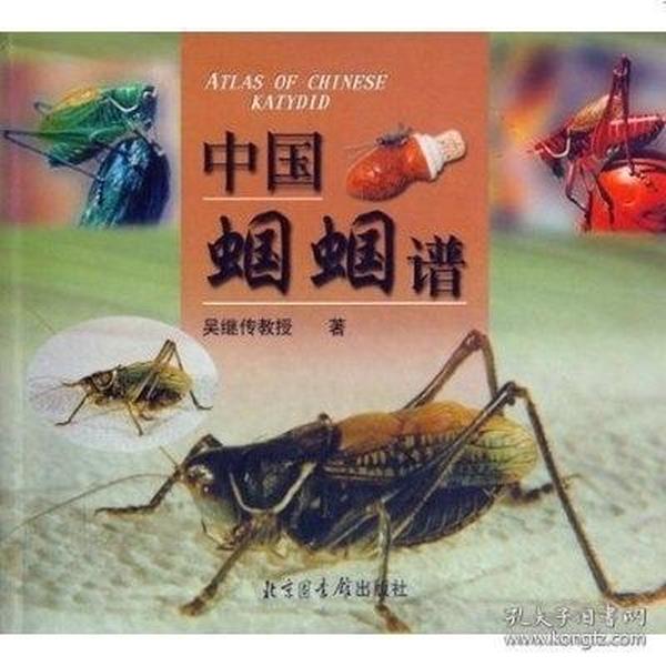 吴继传_购买 吴继传相关商品_孔夫子旧书网