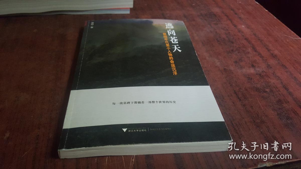 逃向苍天:极端年代里小人物的命运沉浮