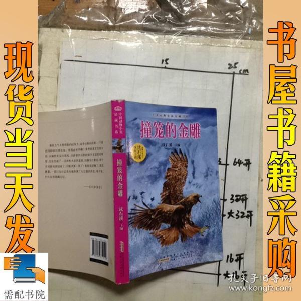 《撞笼的金雕》低价购书_沈石溪 主编_文学_孔网