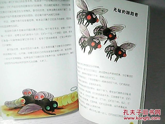 昆虫记:贪婪的麻醉专家-砂泥蜂