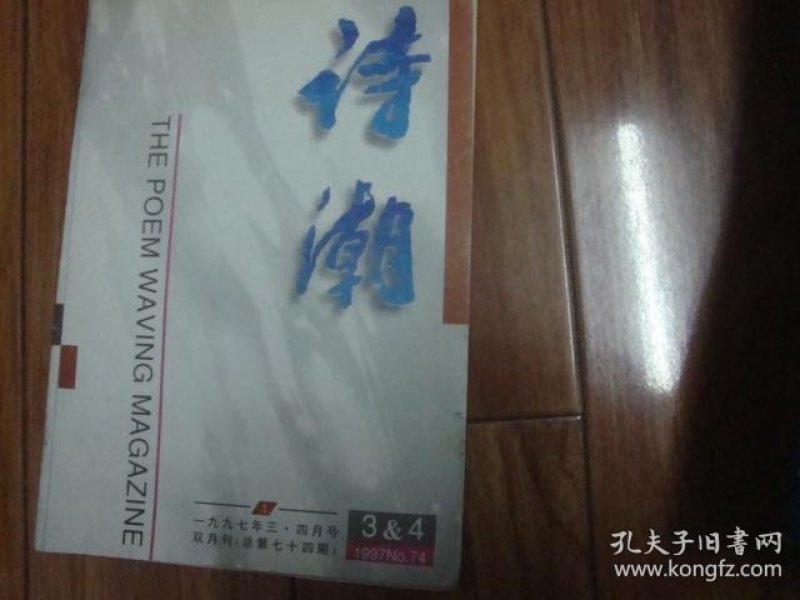 《诗潮》杂志