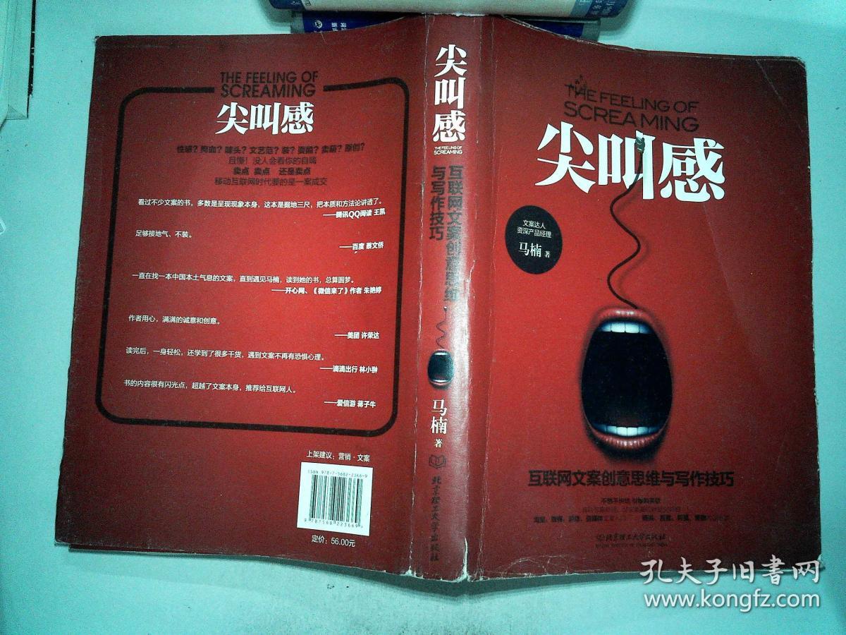 尖叫感:互联网文案创意思维与写作技巧
