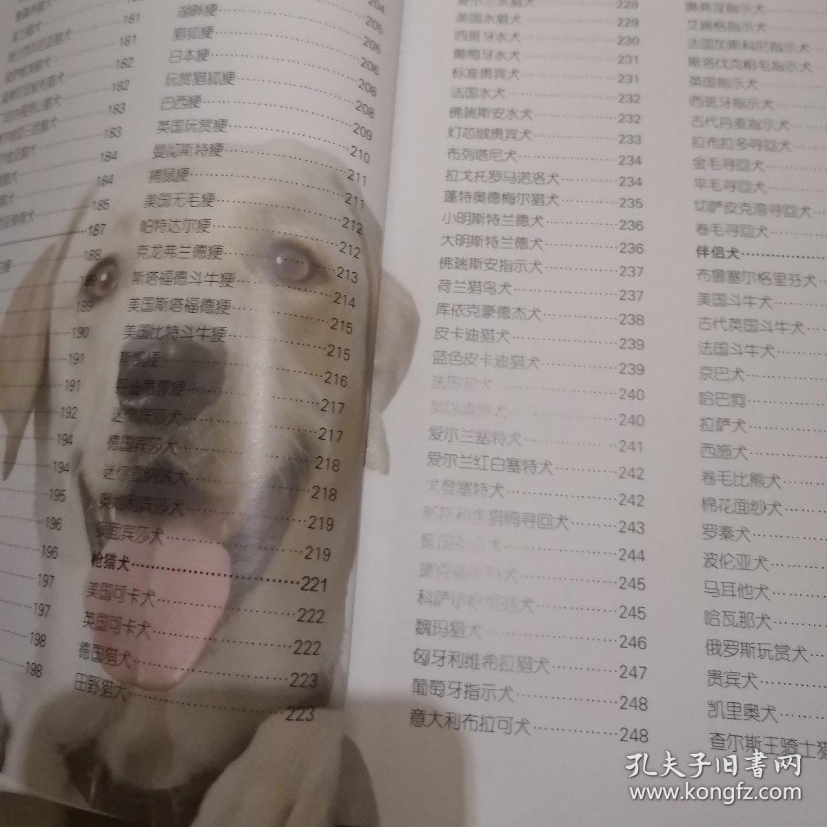 腊肠犬 德国猎犬 瑞典腊肠犬 劳弗杭犬 纳德劳弗杭犬 巴伐利亚山猎犬