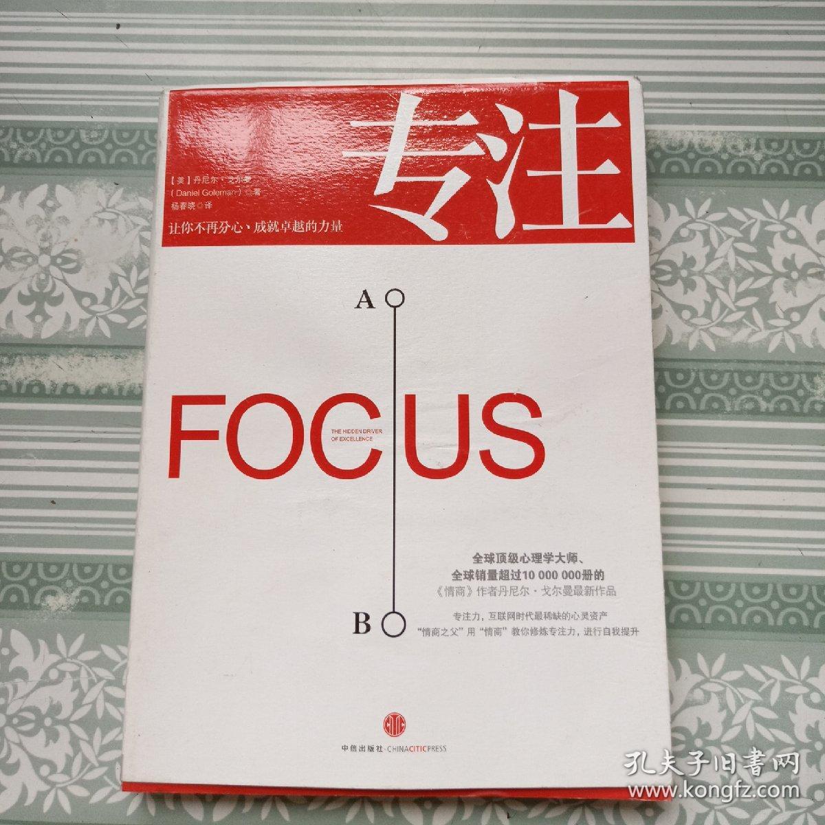 专注:focus: the hidden driver of excellence