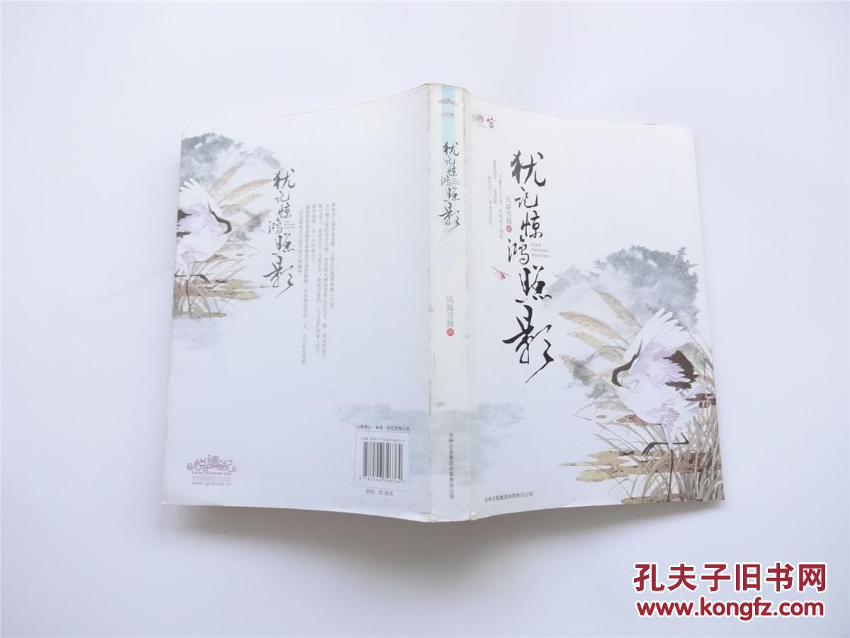 犹记惊鸿照影