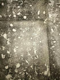 大明福王第二子朱由渠墓志