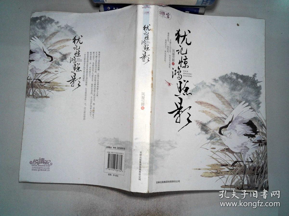 犹记惊鸿照影