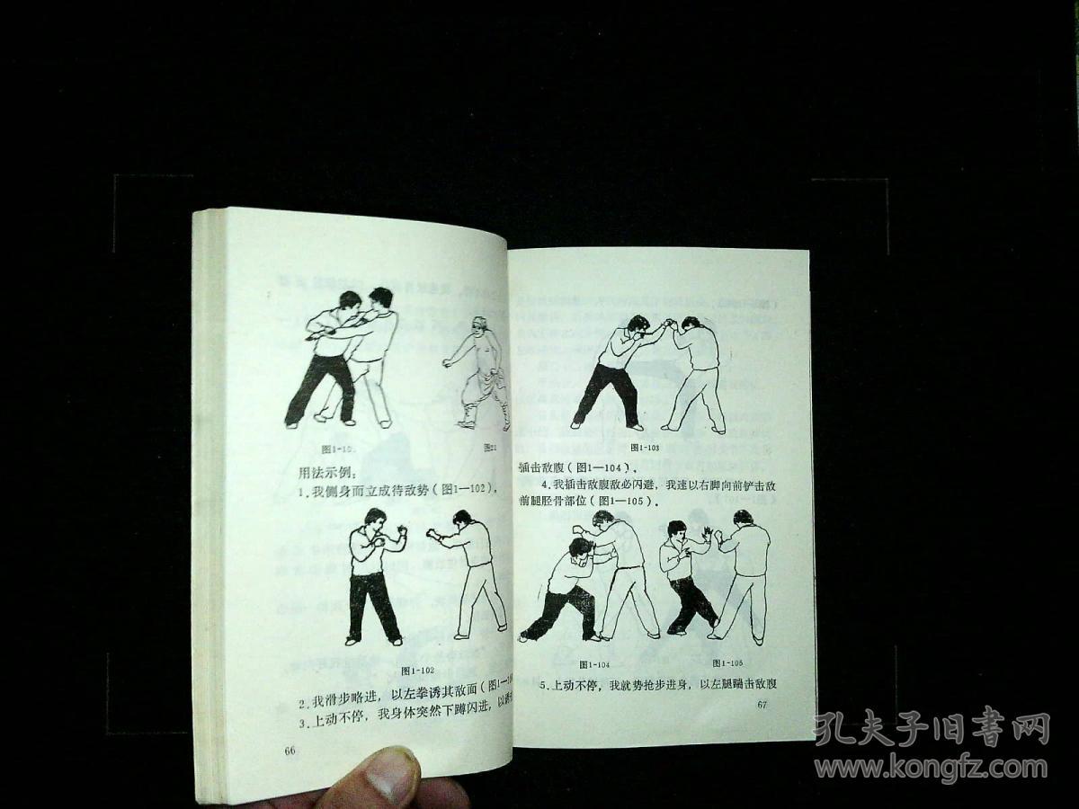 三十二势绝命拳