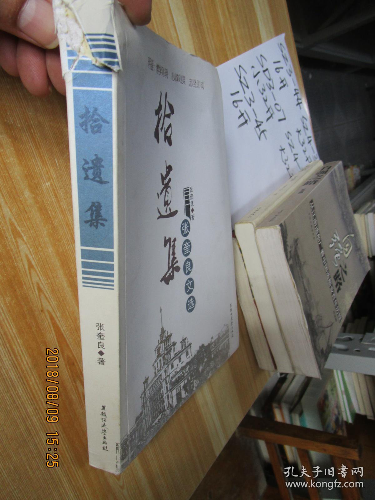 拾遗集·张奎良文选